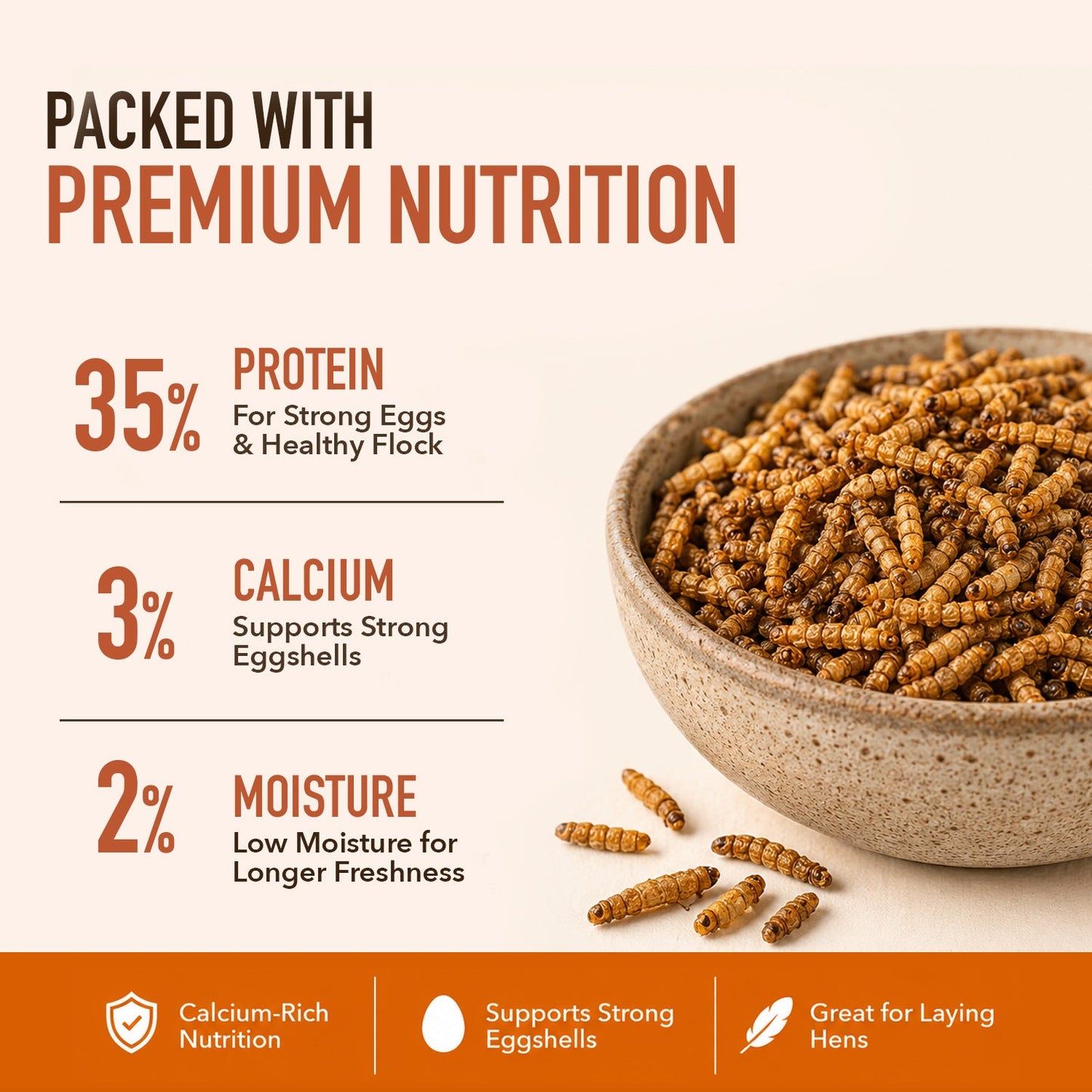 Dried black soldier fly larvae protein calcium and moisture highlights