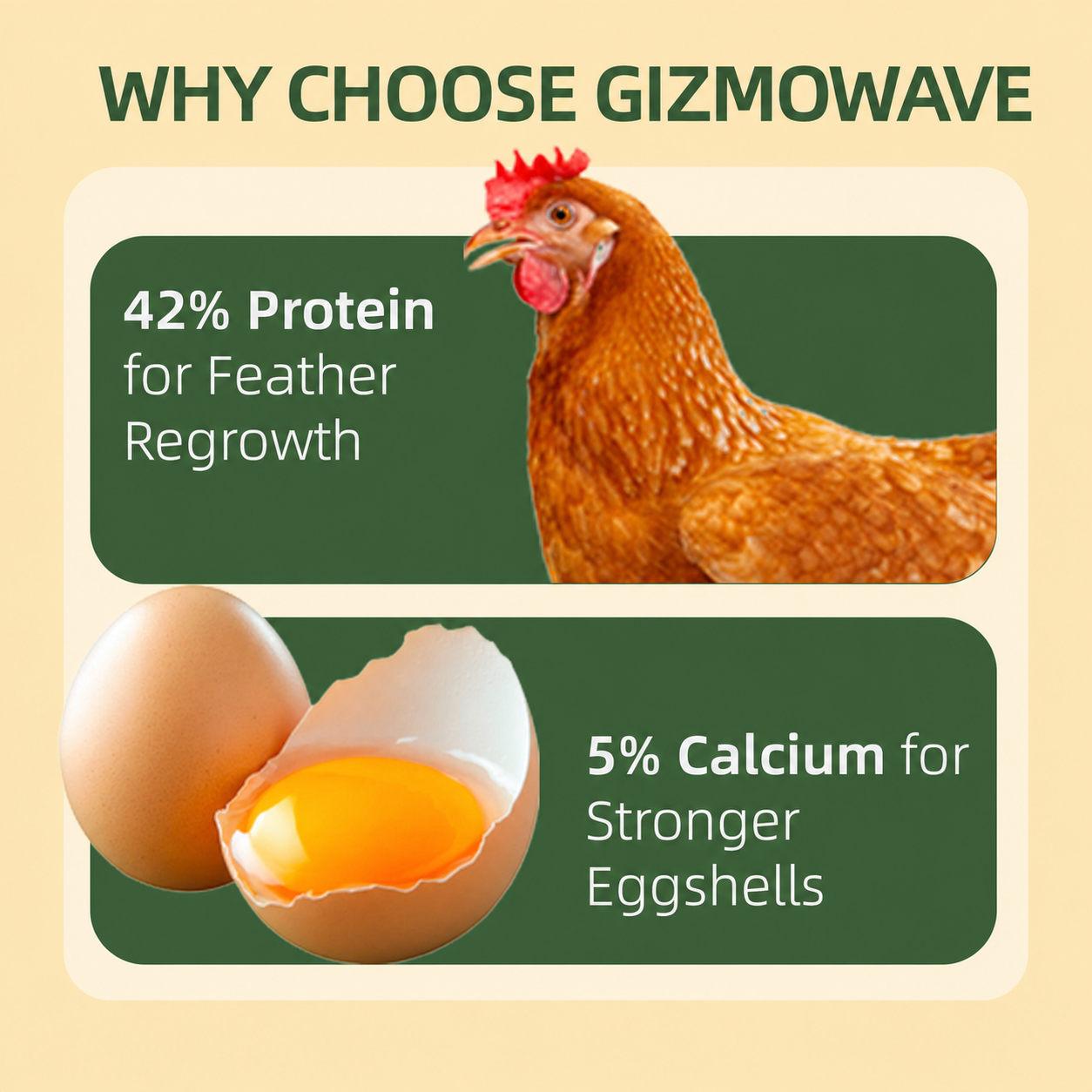 Why choose Gizmowave black soldier fly larvae