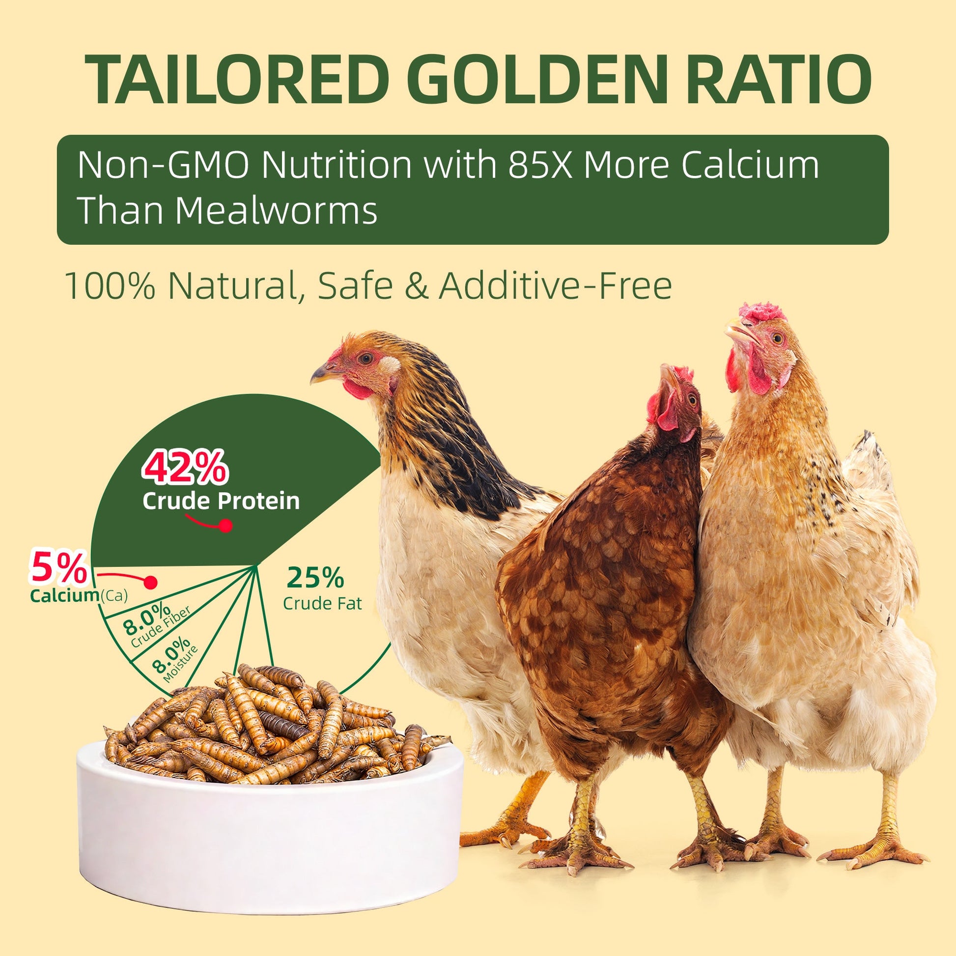 Black soldier fly larvae protein and calcium nutrition