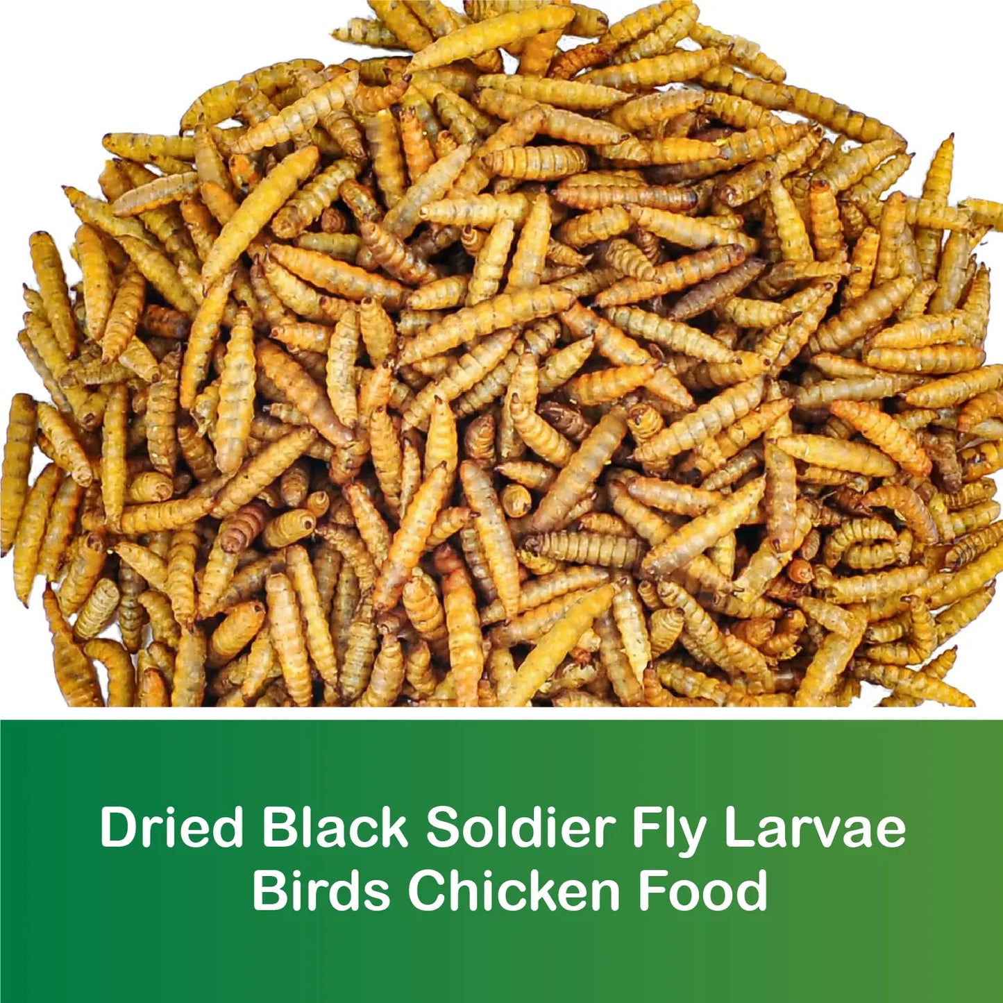 Close-up of whole dried black soldier fly larvae