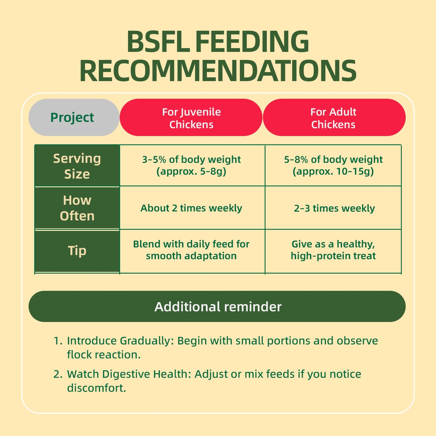 BSFL feeding recommendations for chickens