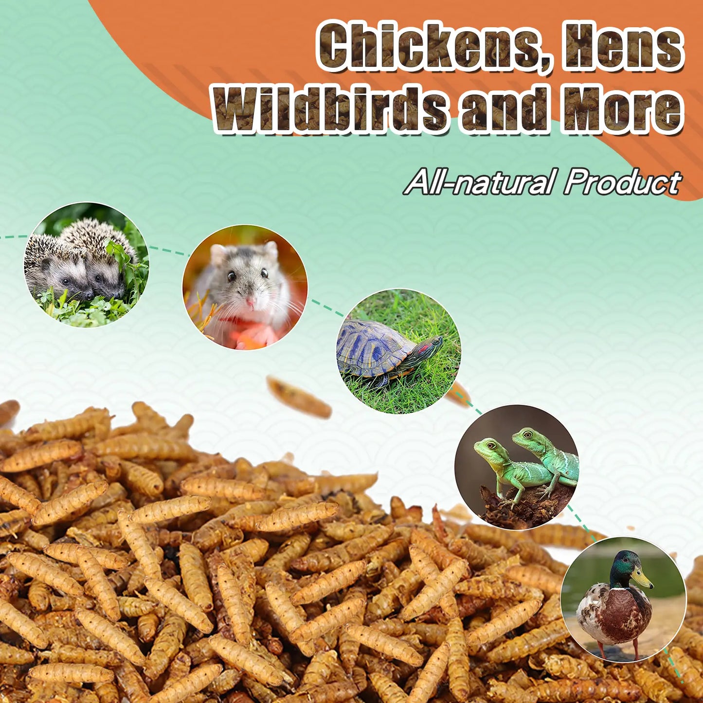 Dried BSFL treats for poultry birds reptiles fish and small pets