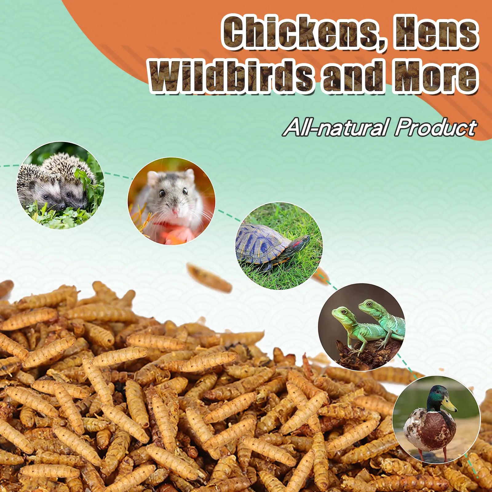 Dried BSFL treats for poultry birds reptiles fish and small pets