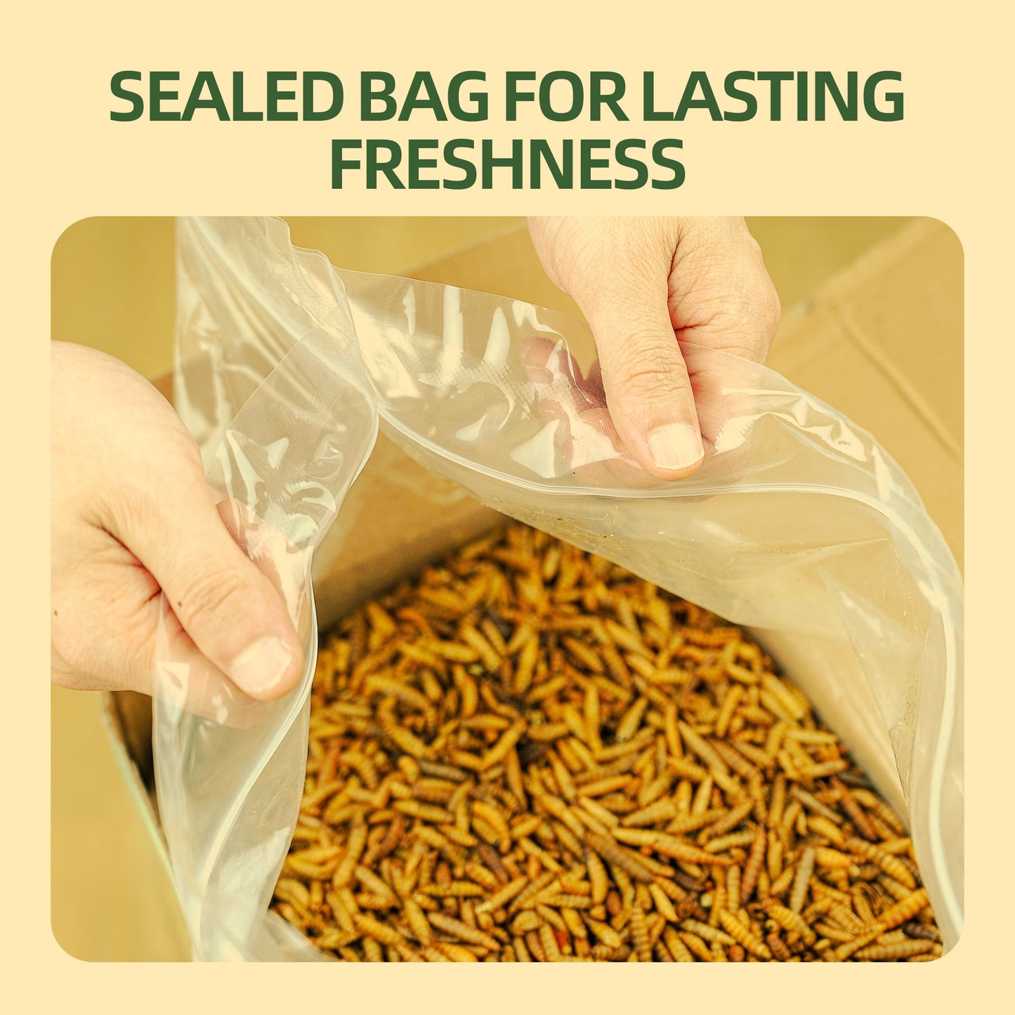 Resealable inner bag for lasting freshness