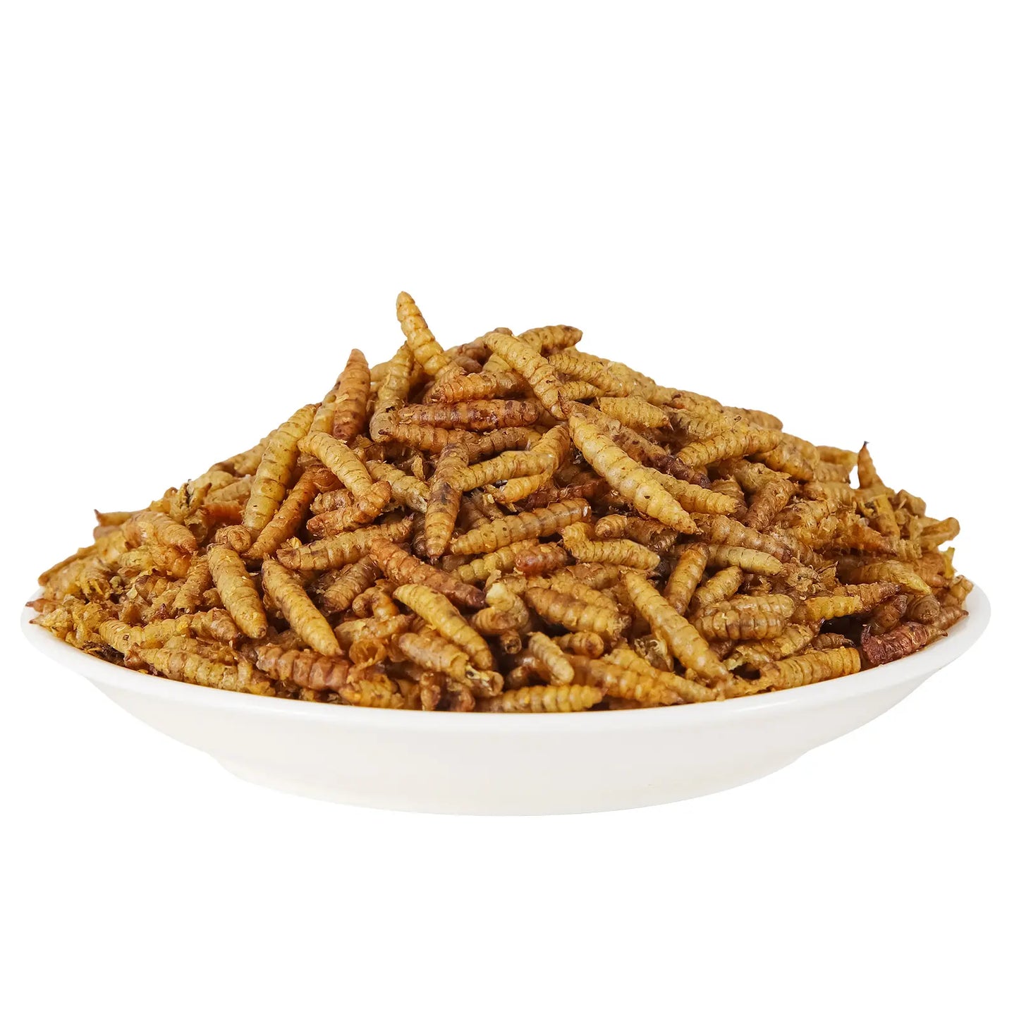 Close-up bowl of whole dried black soldier fly larvae