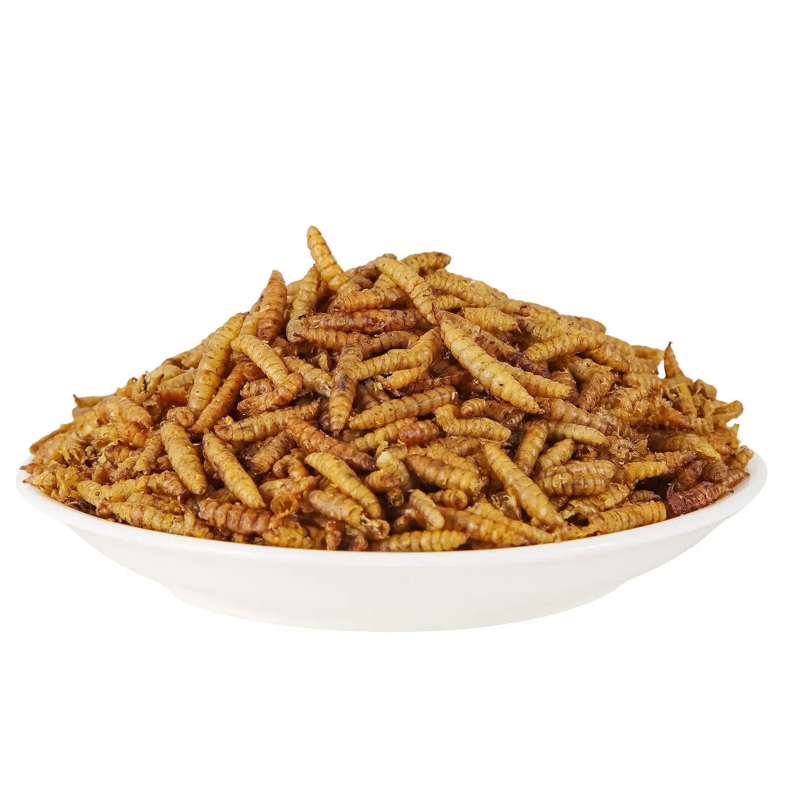 Close-up bowl of whole dried black soldier fly larvae