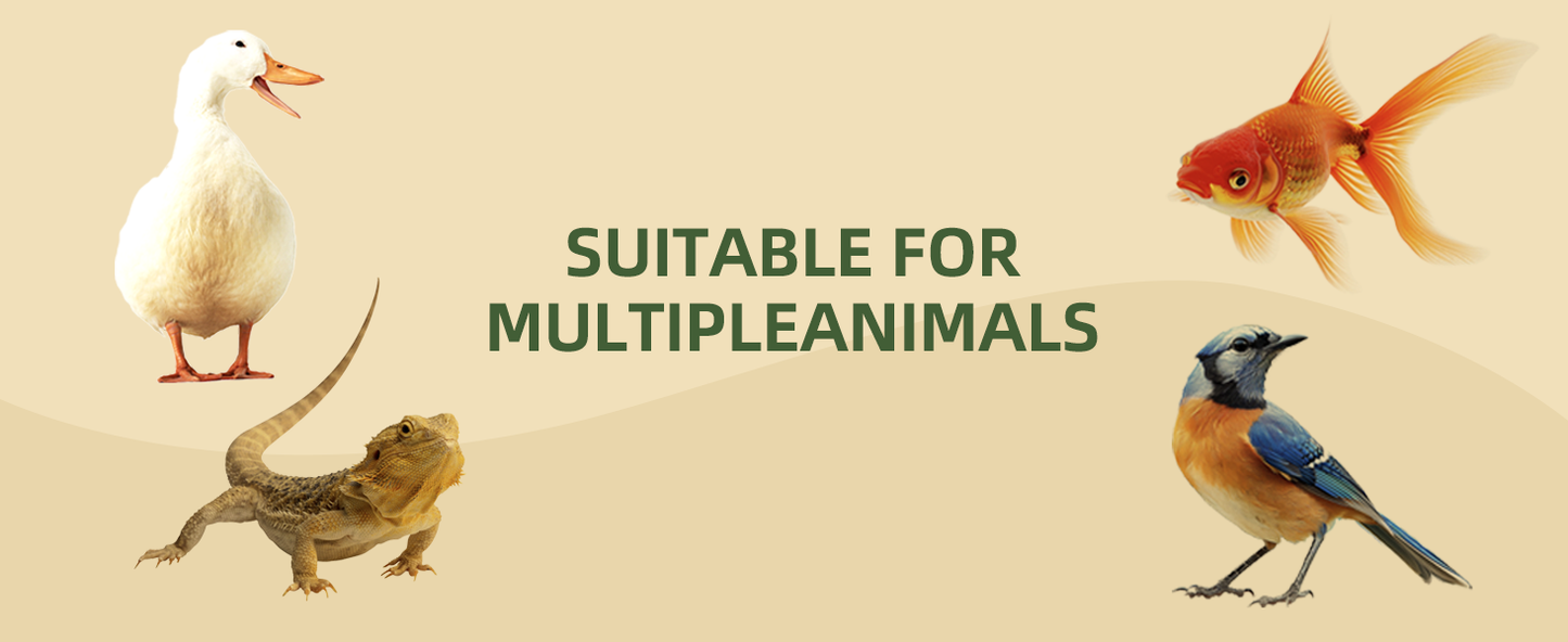 BSFL treats for multiple animal types