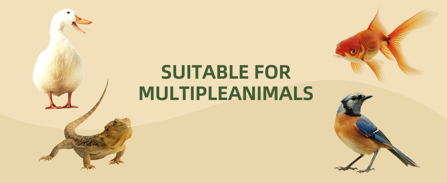 BSFL treats for multiple animal types