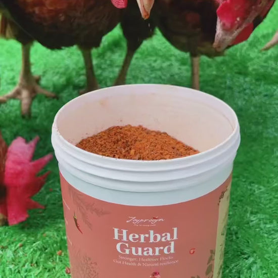 Herbal Guard field note 03