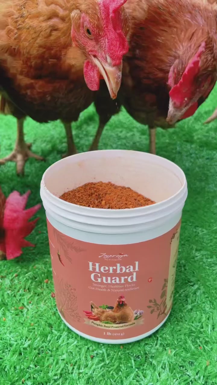 Herbal Guard field note 03