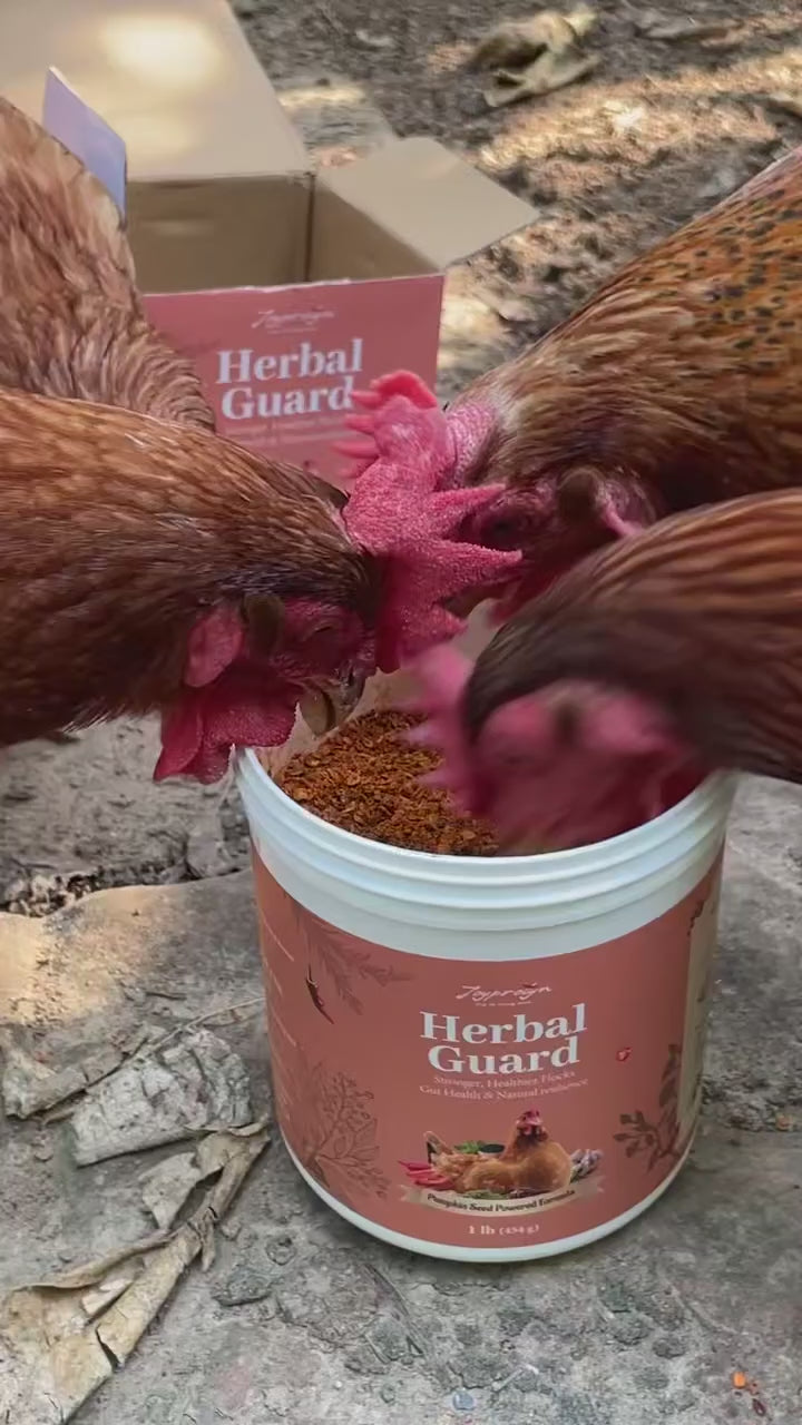Herbal Guard field note 02